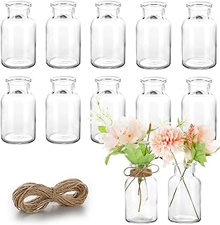 Vmgigig Flower Vase, 12PCS Small Glass Vase Set Bud Vases, mini Vintage Vase for Flowers, Small Vase for Decorative Table Wedding Party Home