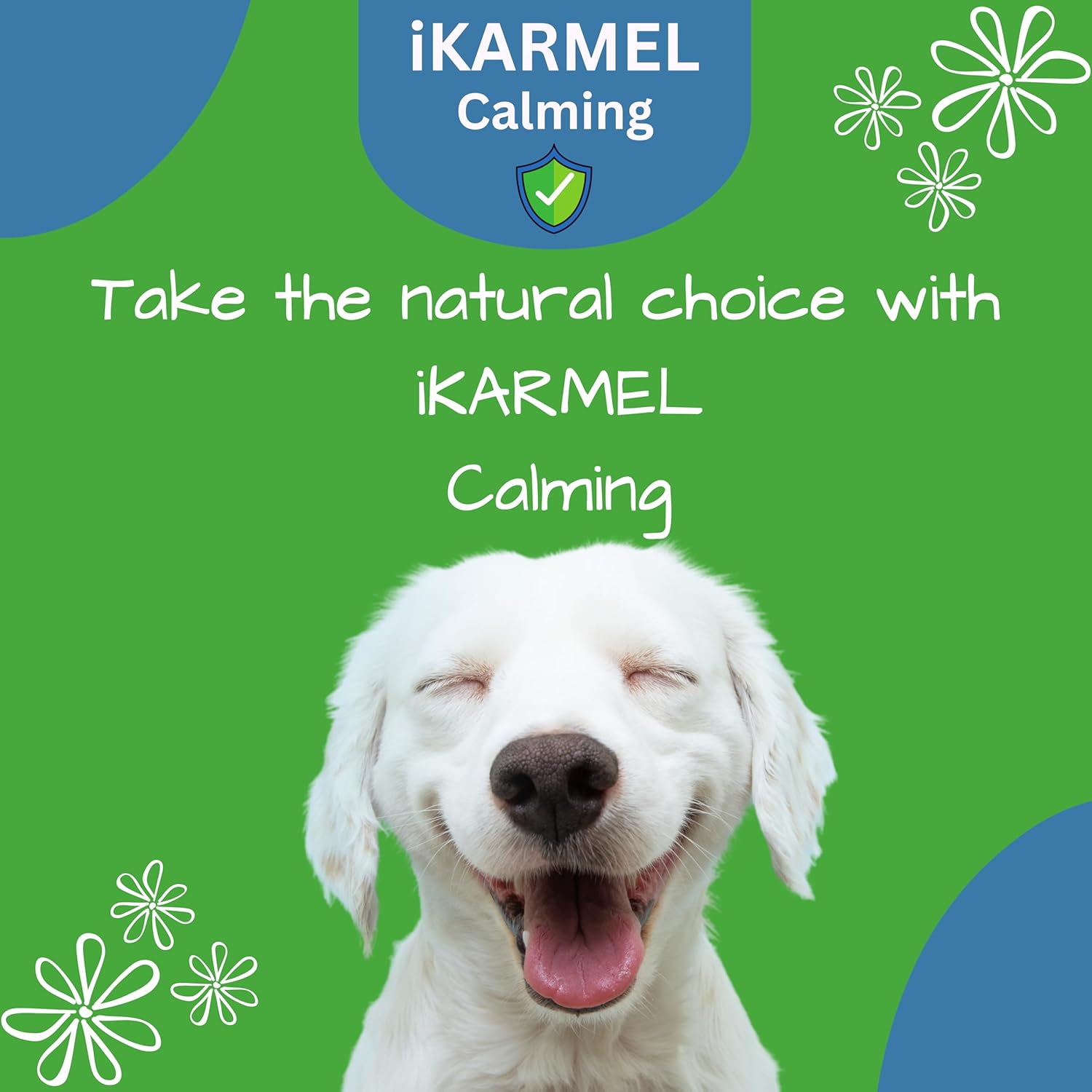 iKarmel Doggy Dailies | Dog Calming Products | Anxiety Support | Anti Stress & Nervous Treats | 270 Dogs Chew Supplements | Calm in 4-6 Weeks-5