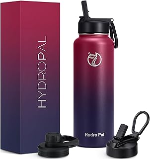 HydroPal Stainless Steel Drinking Bottle - 750 ml, 1 L, 1.2 L, BPA-Free, Suitable for Carbonated Drinks, Insulated Thermos Flask with Straw and 2 Lids, Leak-Proof Insulated Bottle for Children,