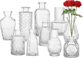 WOPPLXY 12PCS Glass Bud Vase - Clear Small Flower Vases Vintage Flower Bottle - Mini Floral Vase for Wedding, Party, Home, Centerpieces Decor, Table Decoration