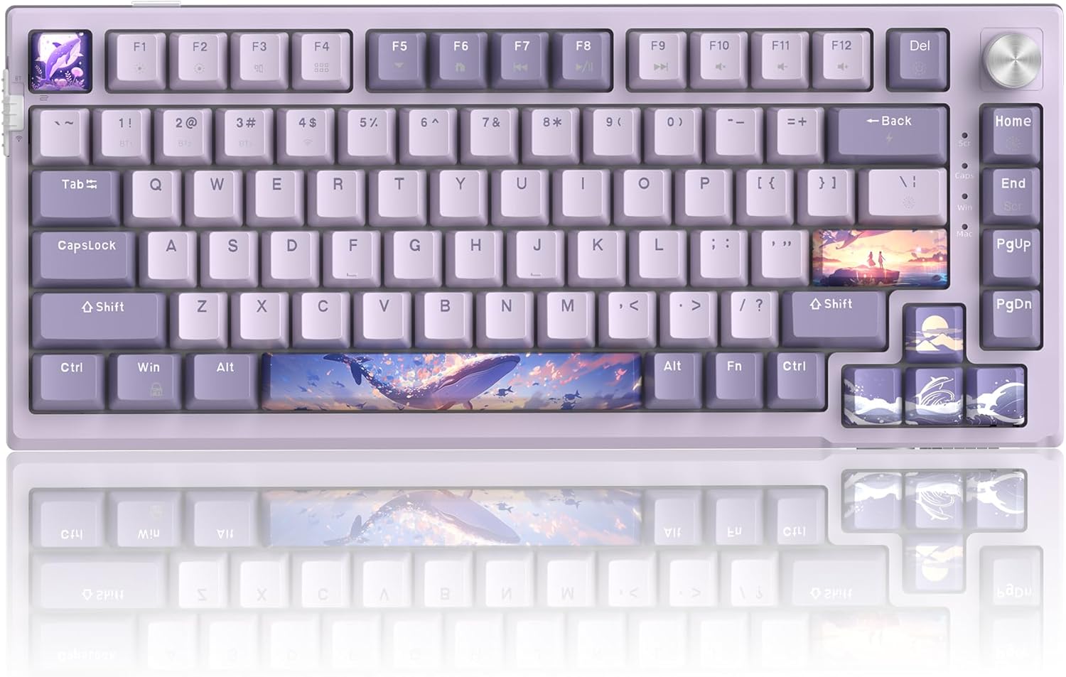 MageGee SKY81 75% Wireless Gasket Mechanical Gaming Keyboard, Hot Swappable RGB Custom Creamy Keyboard w/ 5-Layer Padding, BT/2.4G/USB-C, Knob Control, NKRO for Win/Mac (Dreamy Sky, Violet Switch)-0