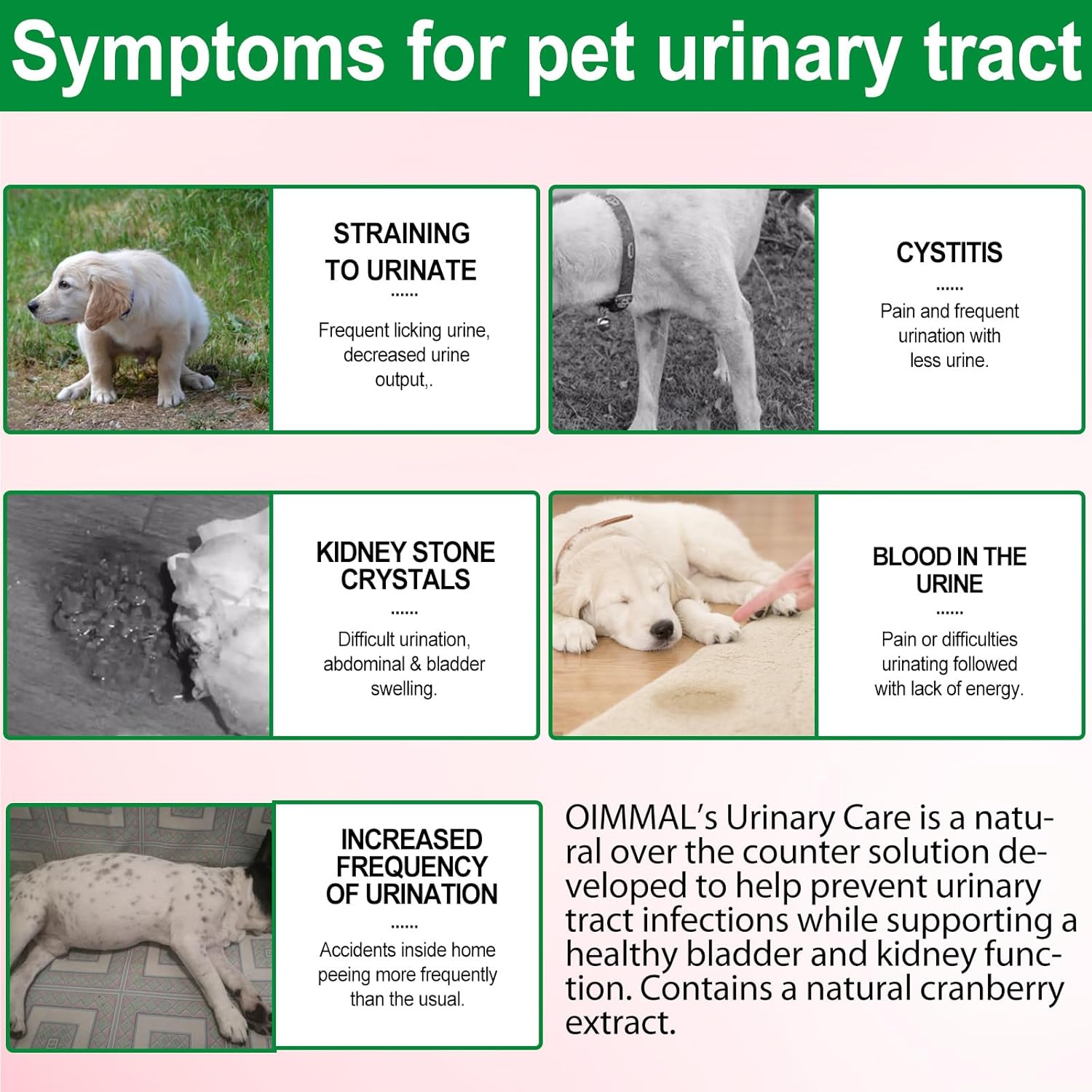 Urinary Tract for Dogs, Urinary Tract Infection Treatment Drops with Cranberry Extract Supports Bladder, Kidney Stone and Dog UTI, Pet Supplies Health Care for Dog - 60ml (60ML)-5