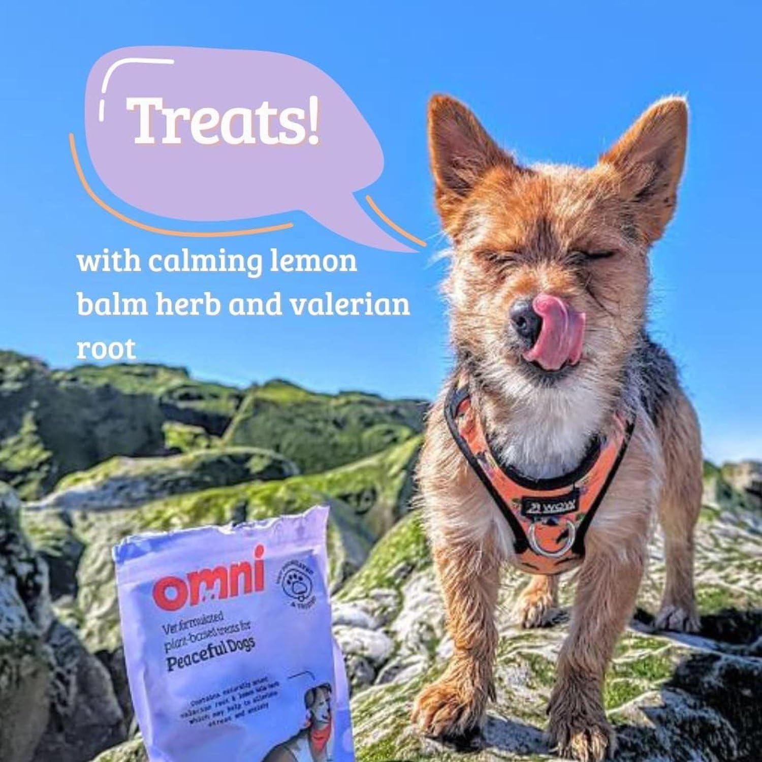 Omni Natural Puppy Treats - Treat for Dog Training Puppies, Fruit and Vegetables for Health, Calcium for Strong Teeth and Bones - Plant Based, Vet Formulated, 8 Weeks Plus, Growing Pups 70g-2