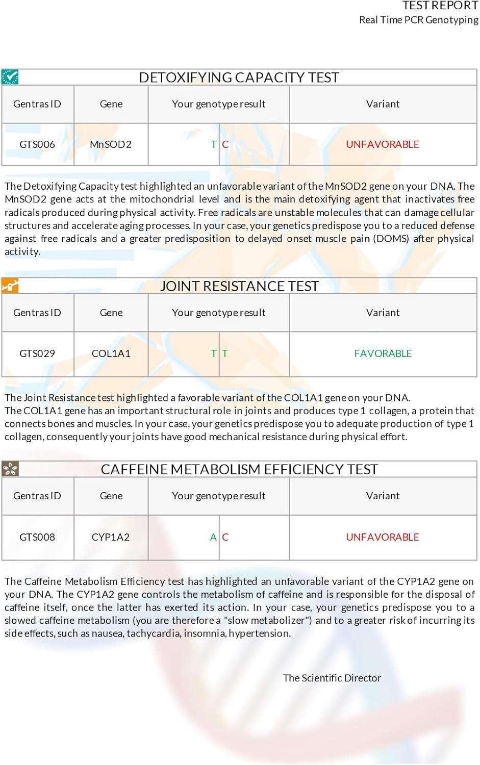 AffinityDNA Premium Sport DNA Test Package | Athletic Aptitude: Power or Resistance | Athletic Recovery Antioxidant Capacity | Anti-Inflammatory | Joint Resistance | Caffeine Metabolism-3