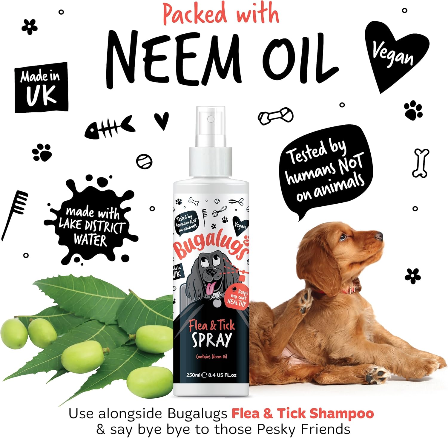 Flea and Tick Dog Spray by Bugalugs 250ml, Works on Smelly Puppies & Dogs, Contains Neem Oil PH Balanced Vegan Pet Shampoo, Used by Professional Groom-1