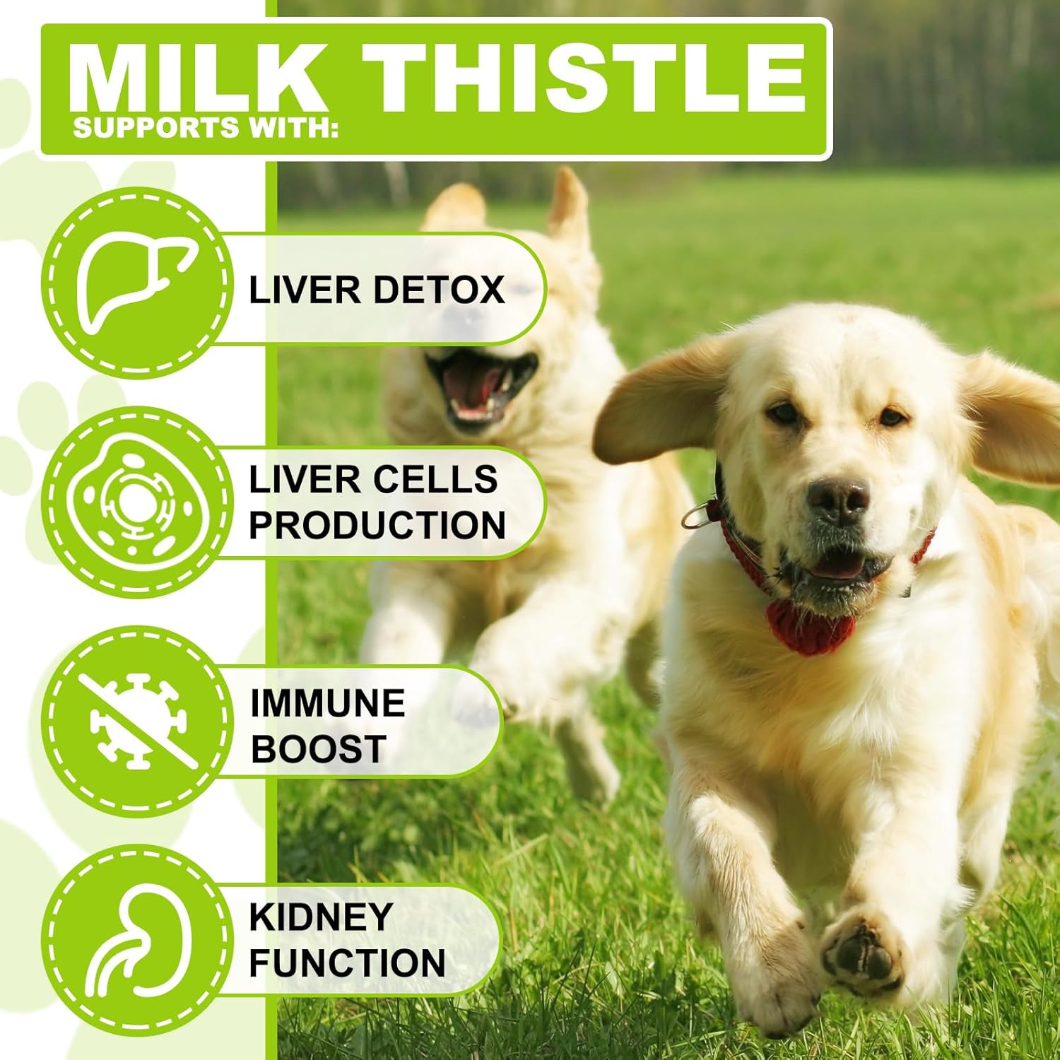 Milk Thistle for Dogs, 60ML Kidney and Liver Supplements for Dog, Natural Dog Silymarin Antioxidant With Curcumin & Omega-3 Salmon Oil-1