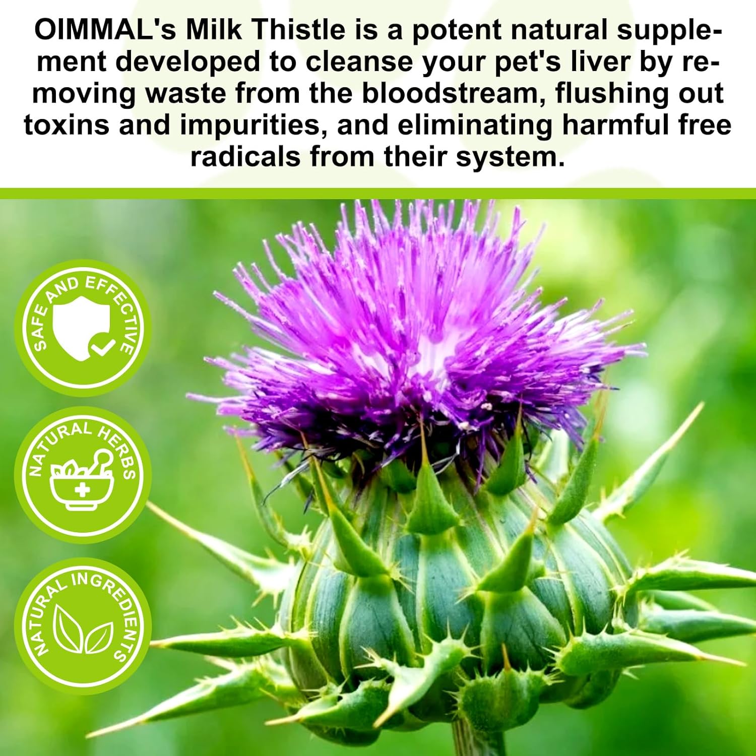 Milk Thistle for Dogs, 60ML Kidney and Liver Supplements for Dog, Natural Dog Silymarin Antioxidant With Curcumin & Omega-3 Salmon Oil-2