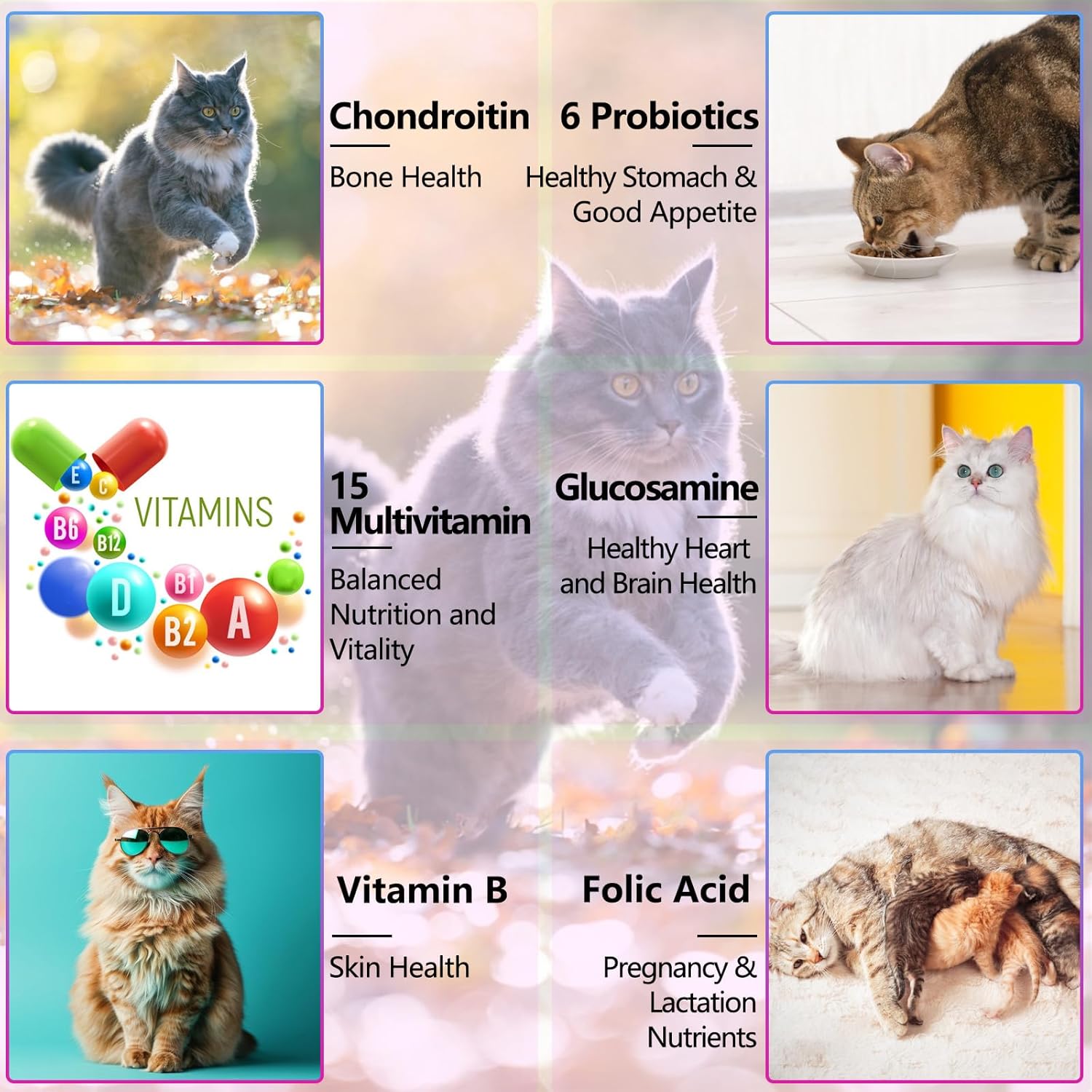 Cat Multivitamins Liquid, 15 in 1 Cat Vitamins Promotes Healthy Skin & Coat, Joint, Immune Support, Longevity & More, Vitamins for Cats, with Glucosamine & Cranberry 2 oz-3