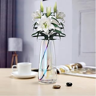 Glass Flower Vase, Thick Glass Centerpieces Vases Modern Home Clear Decor Flower Arrangement Vase for Mother’s Day Wedding Reception Housewarming Party Gifts