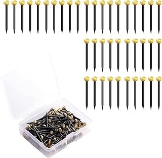 JAMAKALA 40Pcs Picture Pins,Wall Pins for Hanging,Nails for Hanging Pictures, Picture Frame Nails,Picture Hanging Nails with Storage Box for Hanging Photo Frame Crafts Wall Decorative