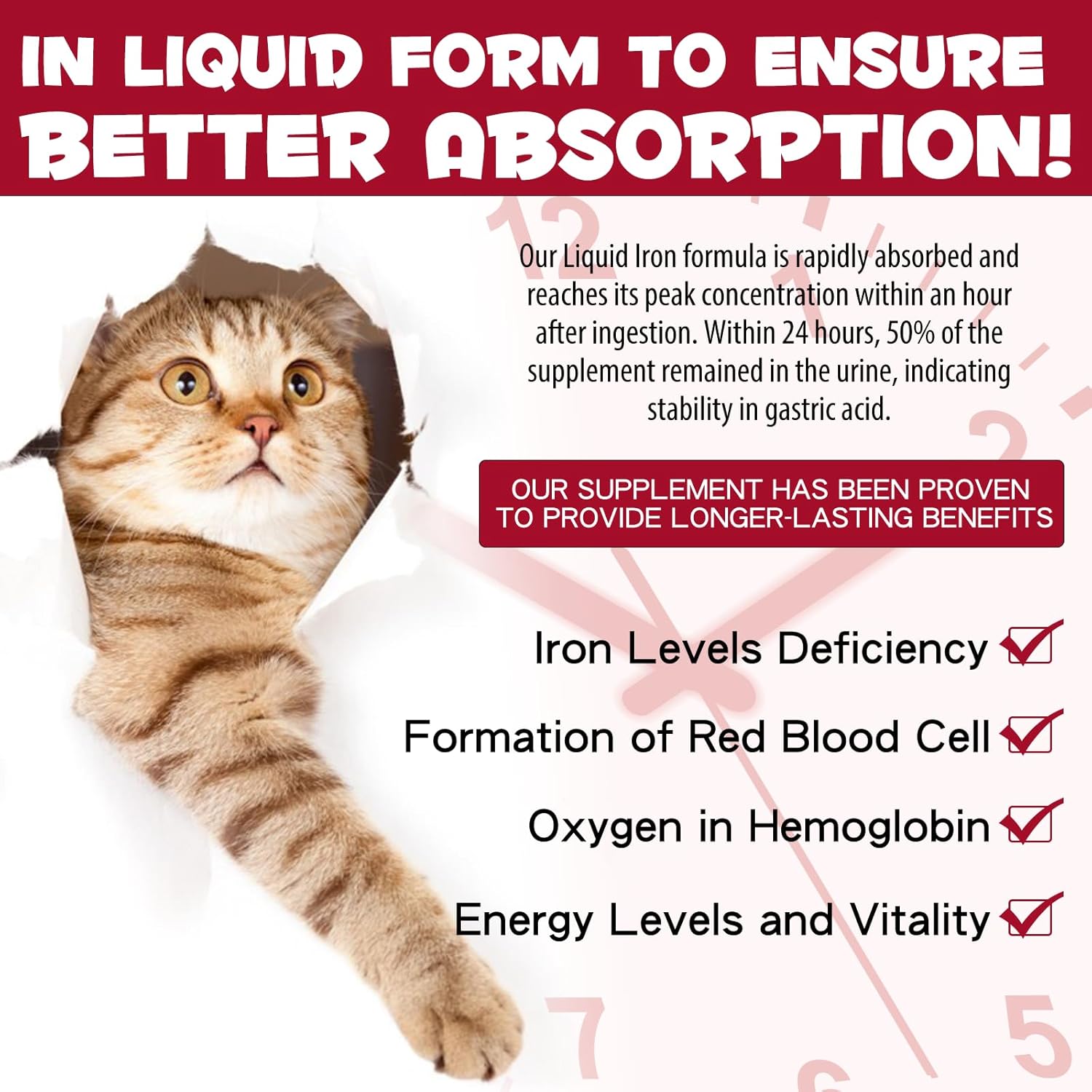 Iron Supplements for Cats, 60ML Liquid Iron with Folate and B12 Supports Anemia, Low Enery Levels and Lethargy, Promotes Red Blood Cell Formation and Blood Health-1