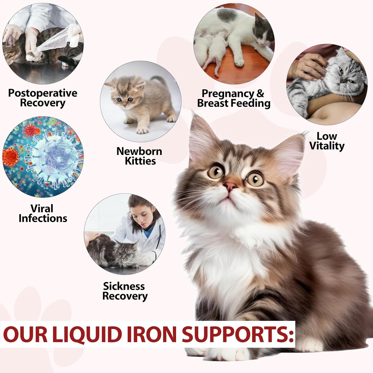 Iron Supplements for Cats, 60ML Liquid Iron with Folate and B12 Supports Anemia, Low Enery Levels and Lethargy, Promotes Red Blood Cell Formation and Blood Health-4