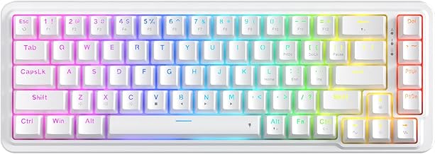 Redragon K709 65% Wired Gasket RGB Gaming Keyboard, 68 Keys Hot-Swap Compact Mechanical Keyboard w/Free-Mod Socket, 3-Layer Noise Dampening & Dedicated Arrow Keys, Quiet Custom Linear Switch