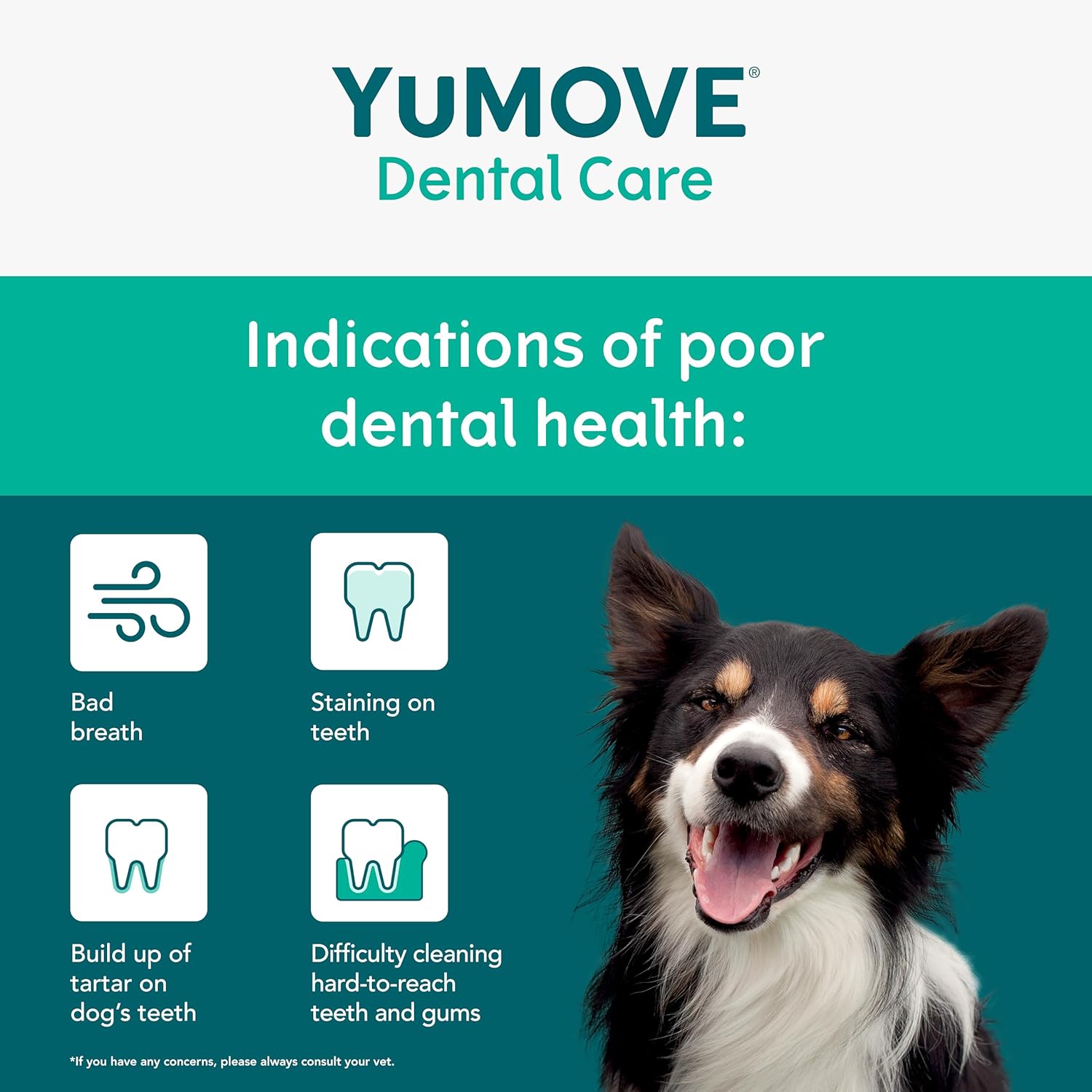 YuMOVE Daily Clean Dental Sticks for Medium Dogs | 7 pack-2