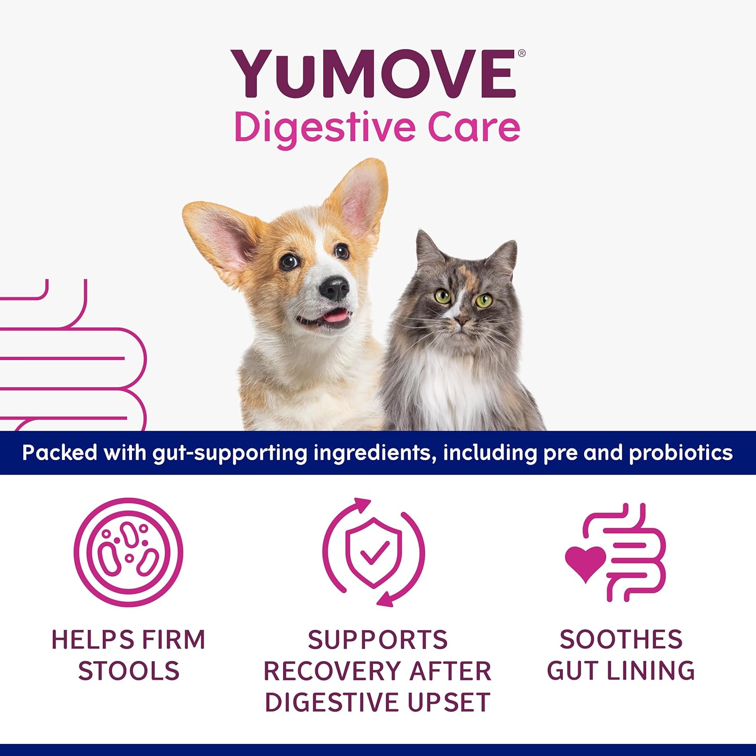 YuMOVE Digestive Care Rapid Probiotic Paste for Small Dogs & Cats | 15ml tube-2