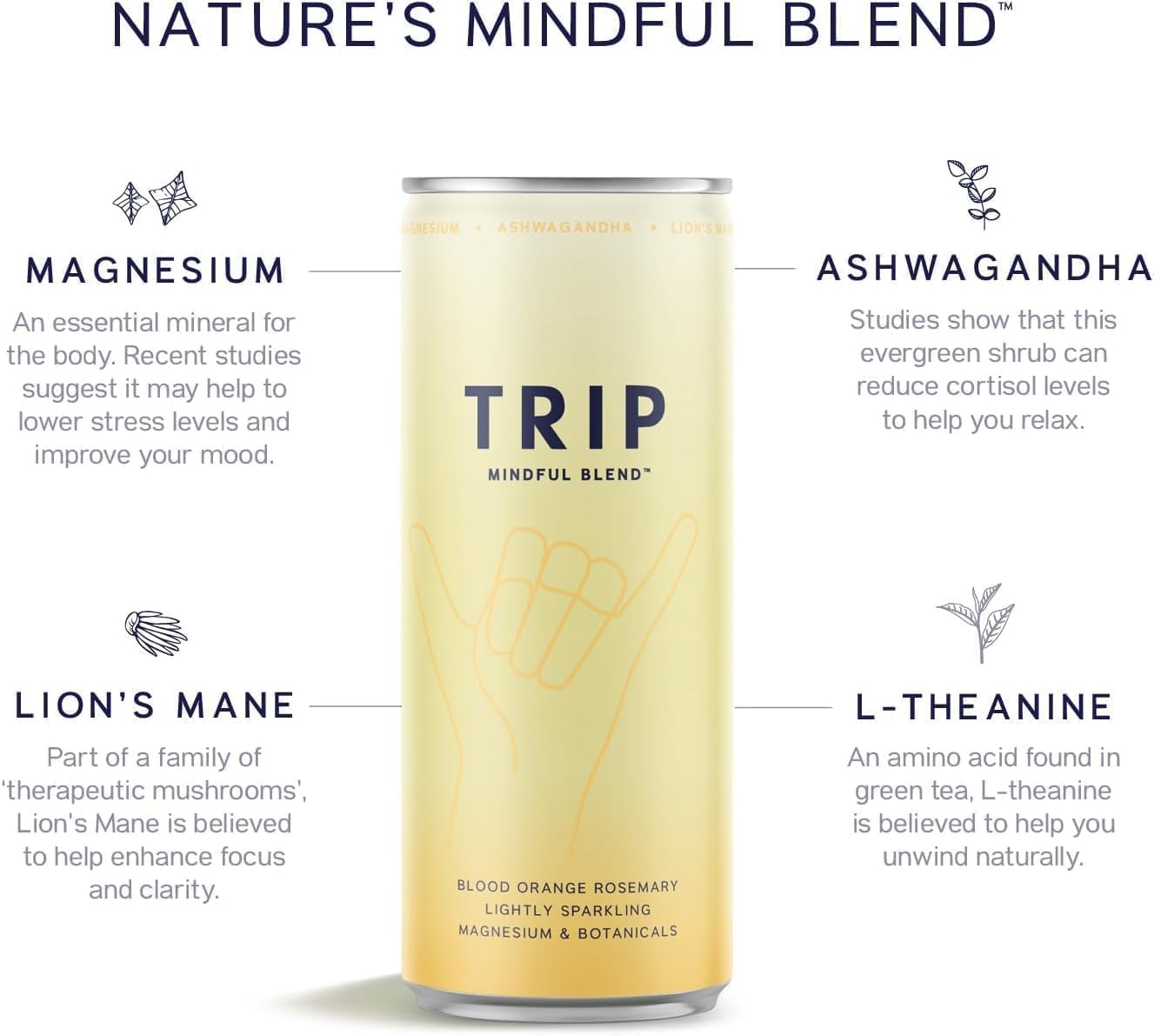 TRIP Mindful Blends - Mixed Pack Sparkling Drink with Magnesium Citrate + Ashwagandha + Lion’s Mane + L-theanine. Low Calorie and Vegan (Pack of 12 x 250ml)-4