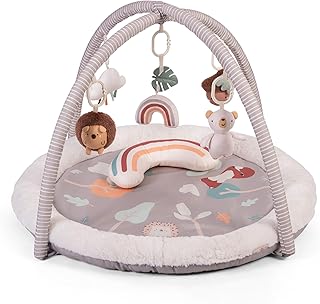 Red Kite Play Gym - Padded Play Gym with Hanging Toys & Tummy Time Mirror (Woodland Walks)