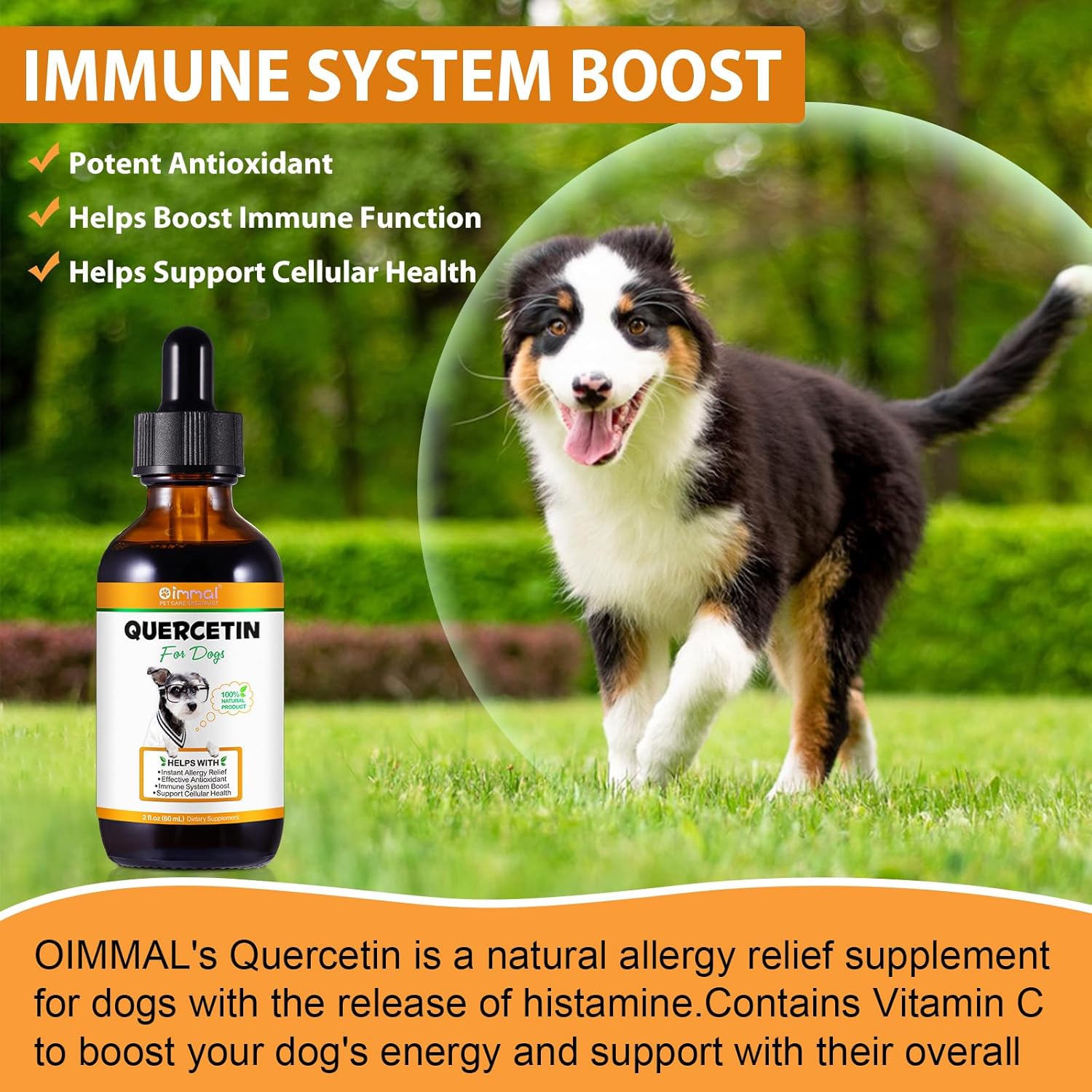 Quercetin for Dogs, 60ML Quercetin Liquid Drops Supplements with Vitamin C for Dog Allergy Relief, Immune Support, Itch Relief & Antioxidant (Natural Bacon Flavor)-3