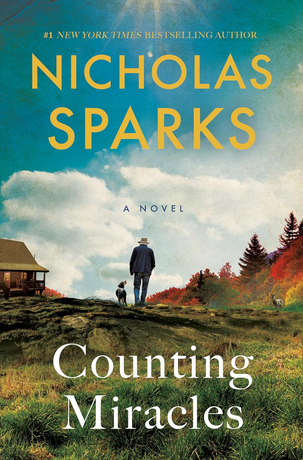 Counting Miracles: A Novel-0