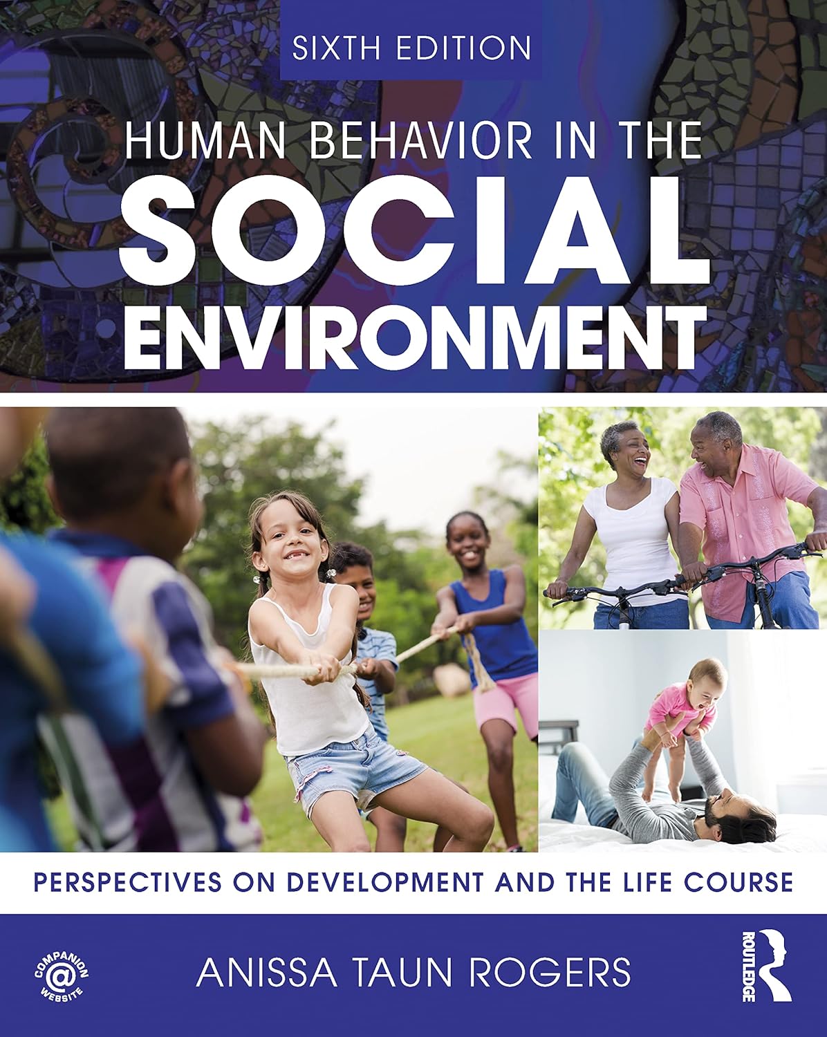 Human Behavior in the Social Environment (New Directions in Social Work)-0