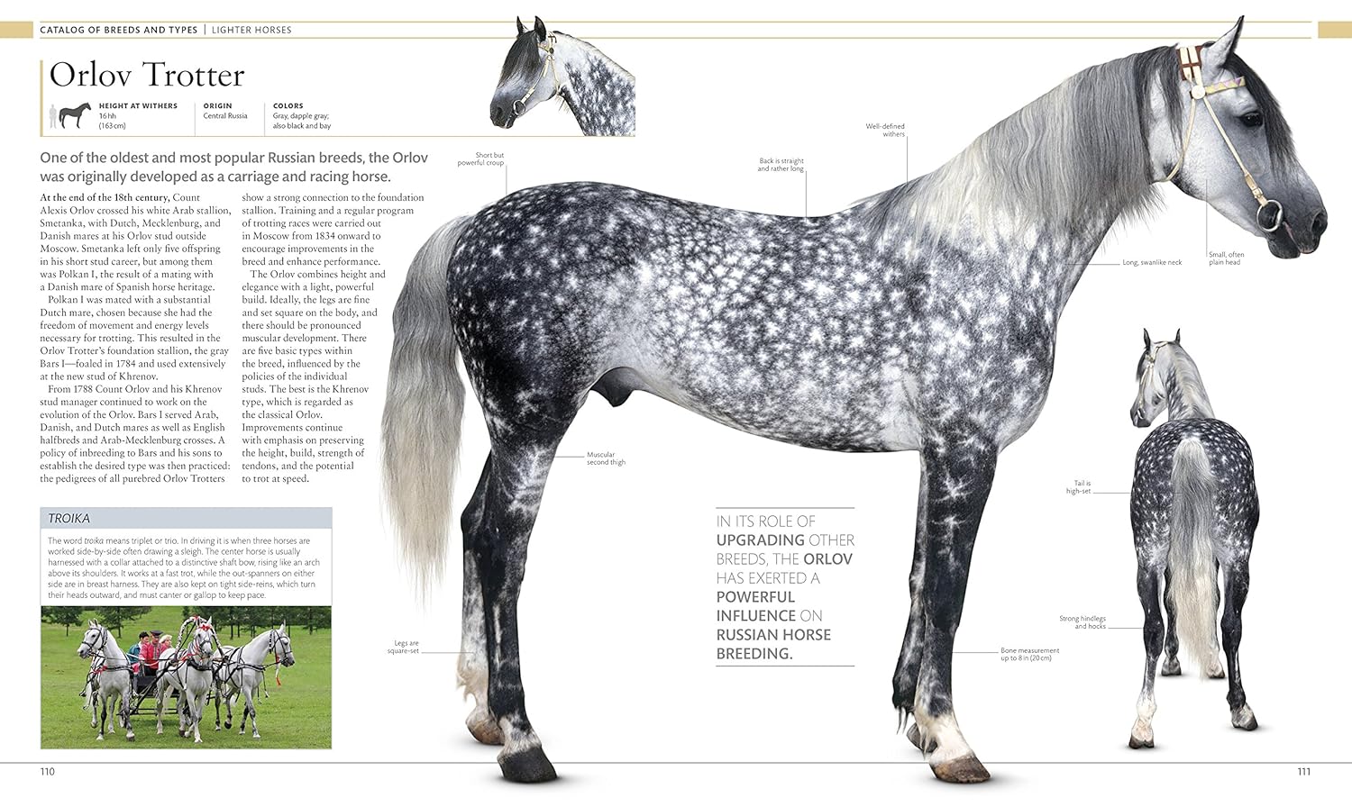 The Horse Encyclopedia (DK Pet Encyclopedias)-3