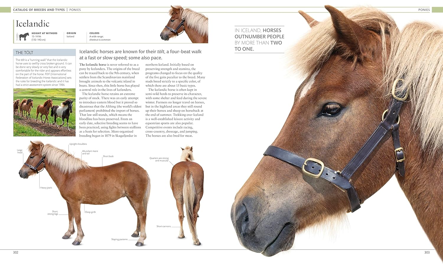 The Horse Encyclopedia (DK Pet Encyclopedias)-4