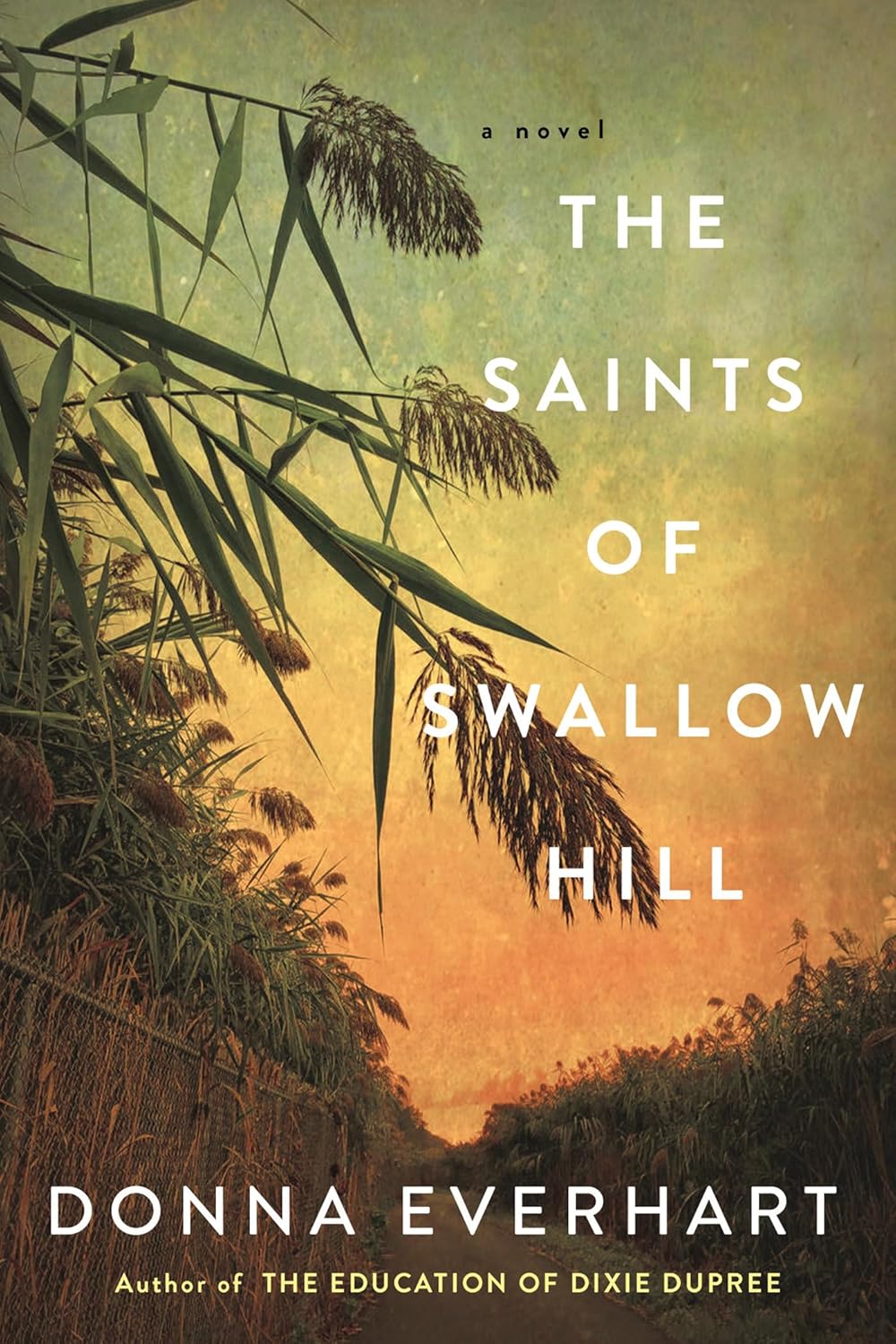 The Saints of Swallow Hill: A Fascinating Depression Era Historical Novel-0