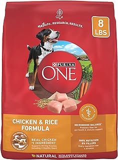 Purina ONE Chicken and Rice Formula Dry Dog Food - 8 lb. Bag