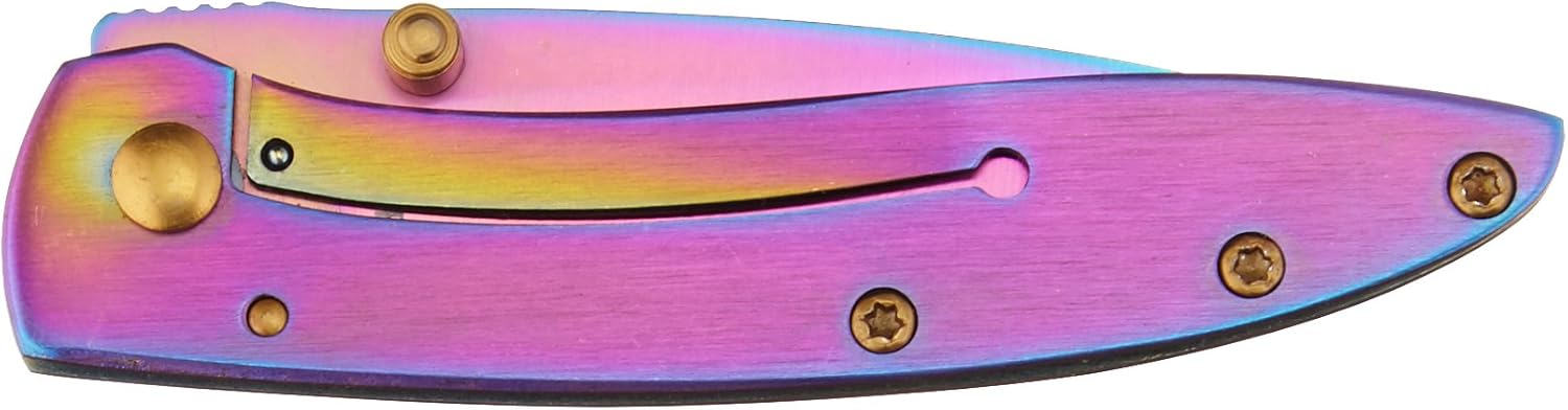 Smith & Wesson CKLPR 5.3in High Carbon S.S. Folding Knife with a 2.3in Drop Point Blade and Rainbow Handle for Outdoor, Tactical, Survival and EDC-1