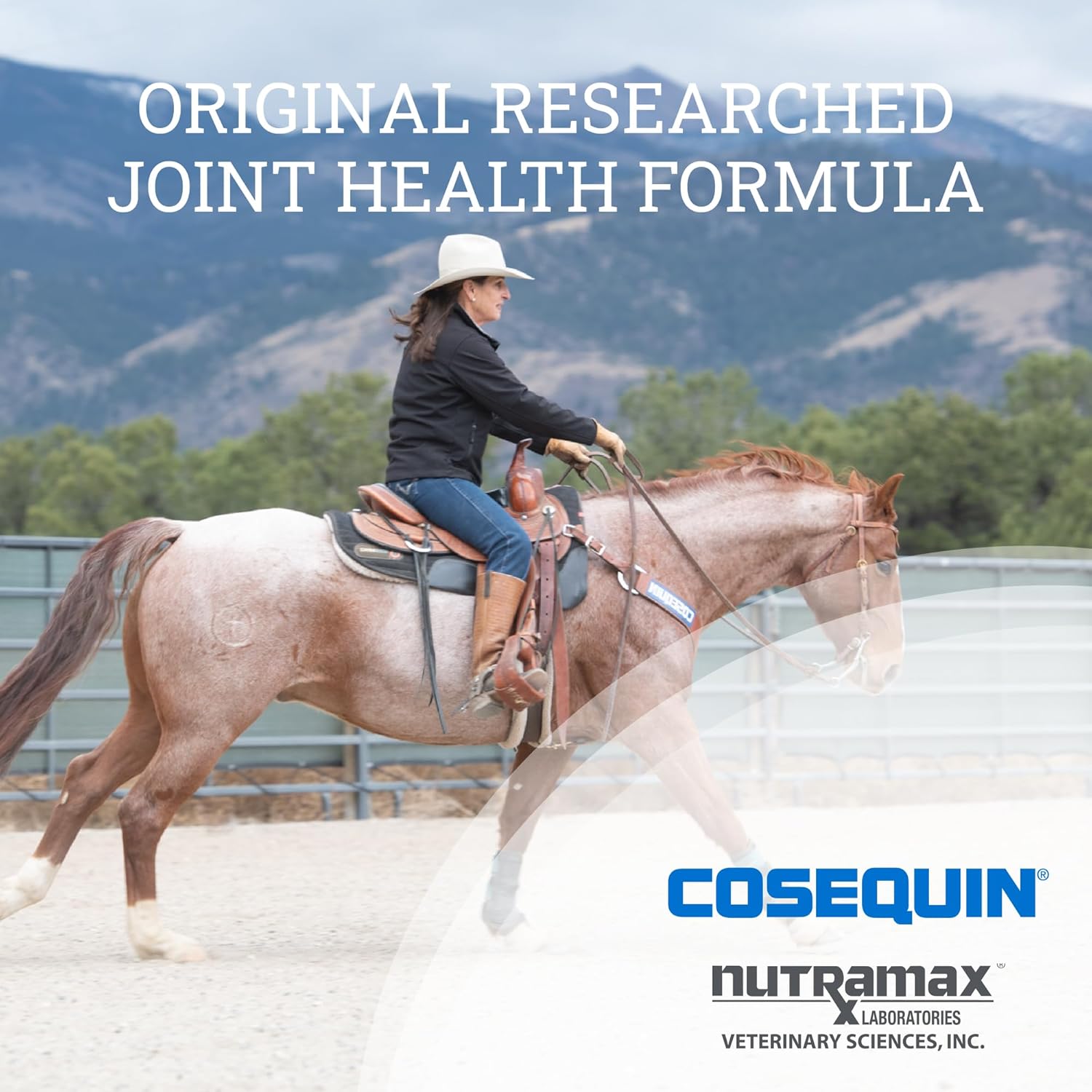 Nutramax Cosequin Original Joint Health Supplement for Horses - Powder with Glucosamine and Chondroitin, 1400 Grams-3