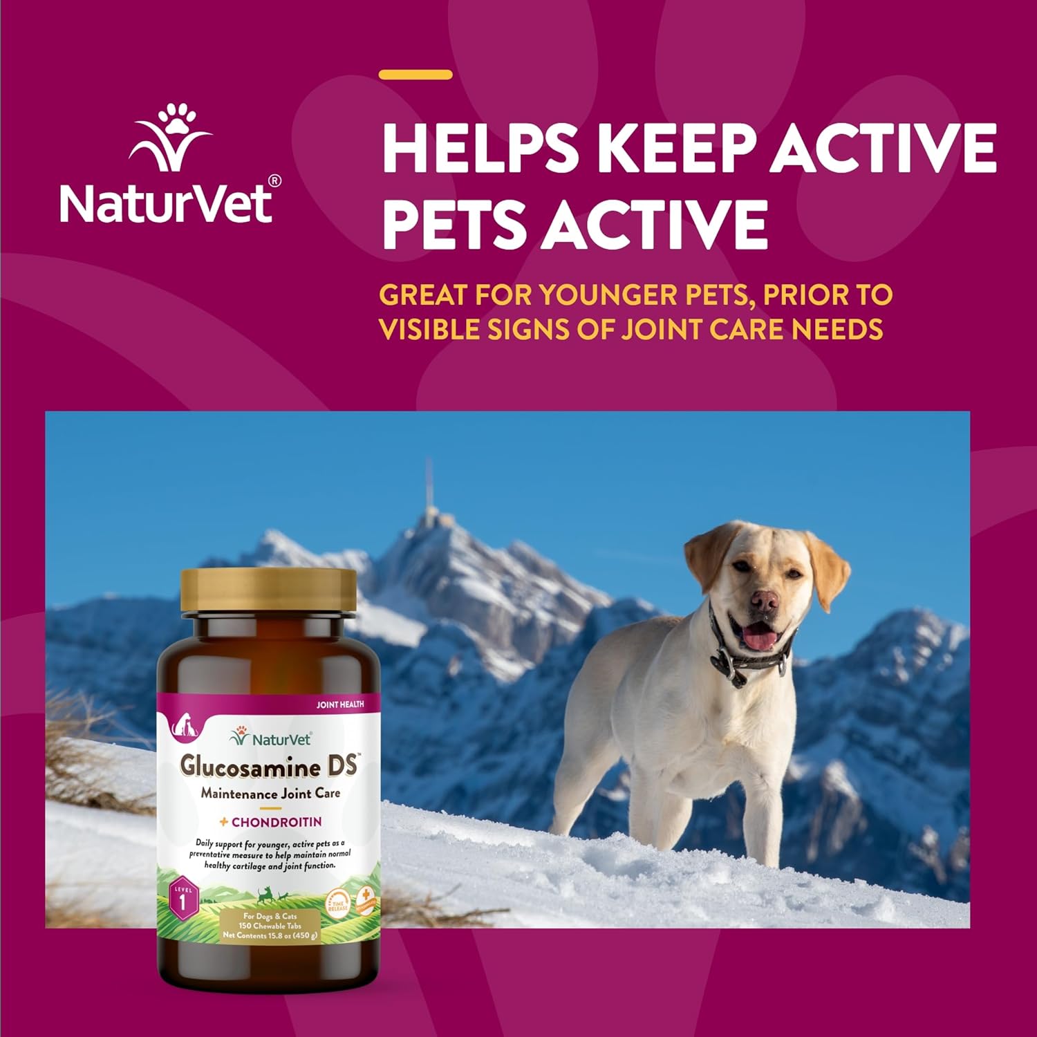 NaturVet Glucosamine DS Level 1 Maintenance Care Hip & Joint Support Pet Supplement for Dogs & Cats –Glucosamine, Chondroitin, Antioxidants –Supports Cartilage, Joint Function – 150 Ct.-3