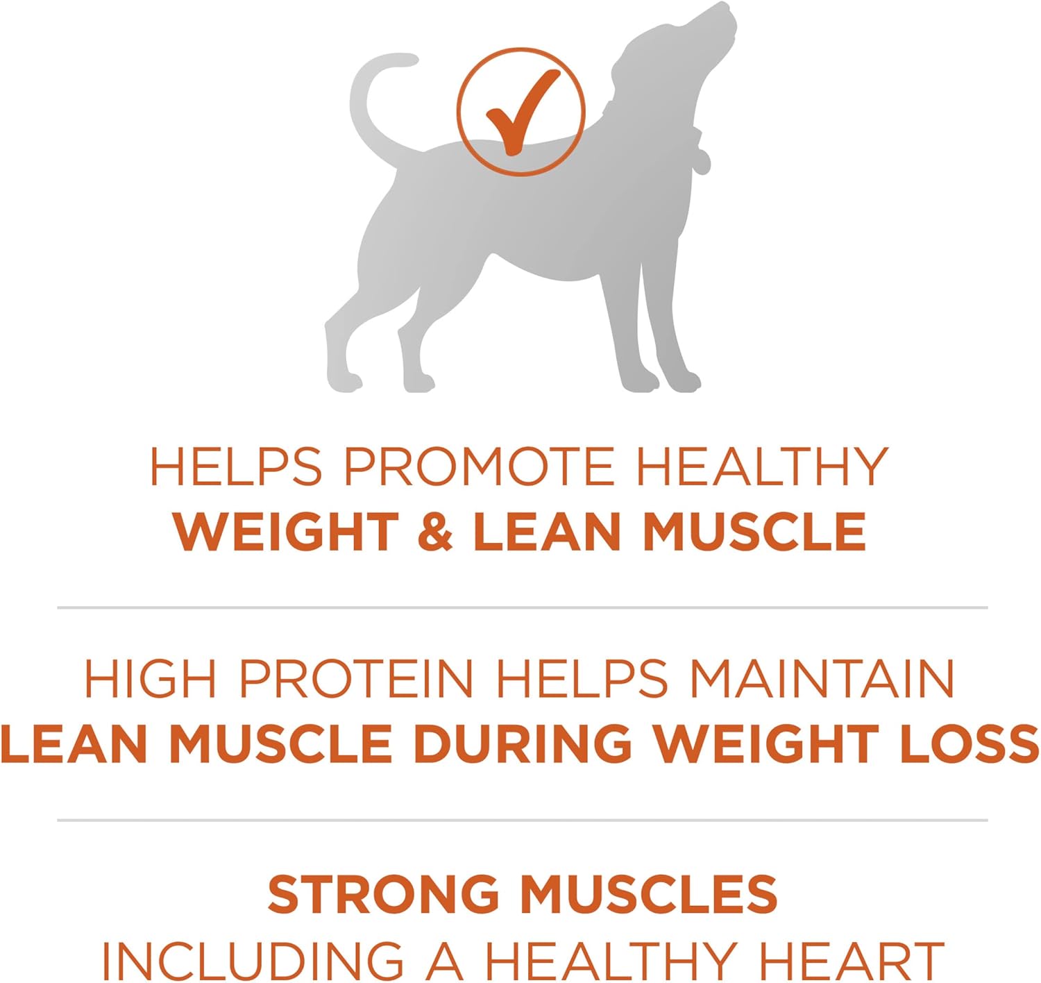 Purina ONE Plus Healthy Weight High-Protein Dog Food Dry Formula - 16.5 lb. Bag-3