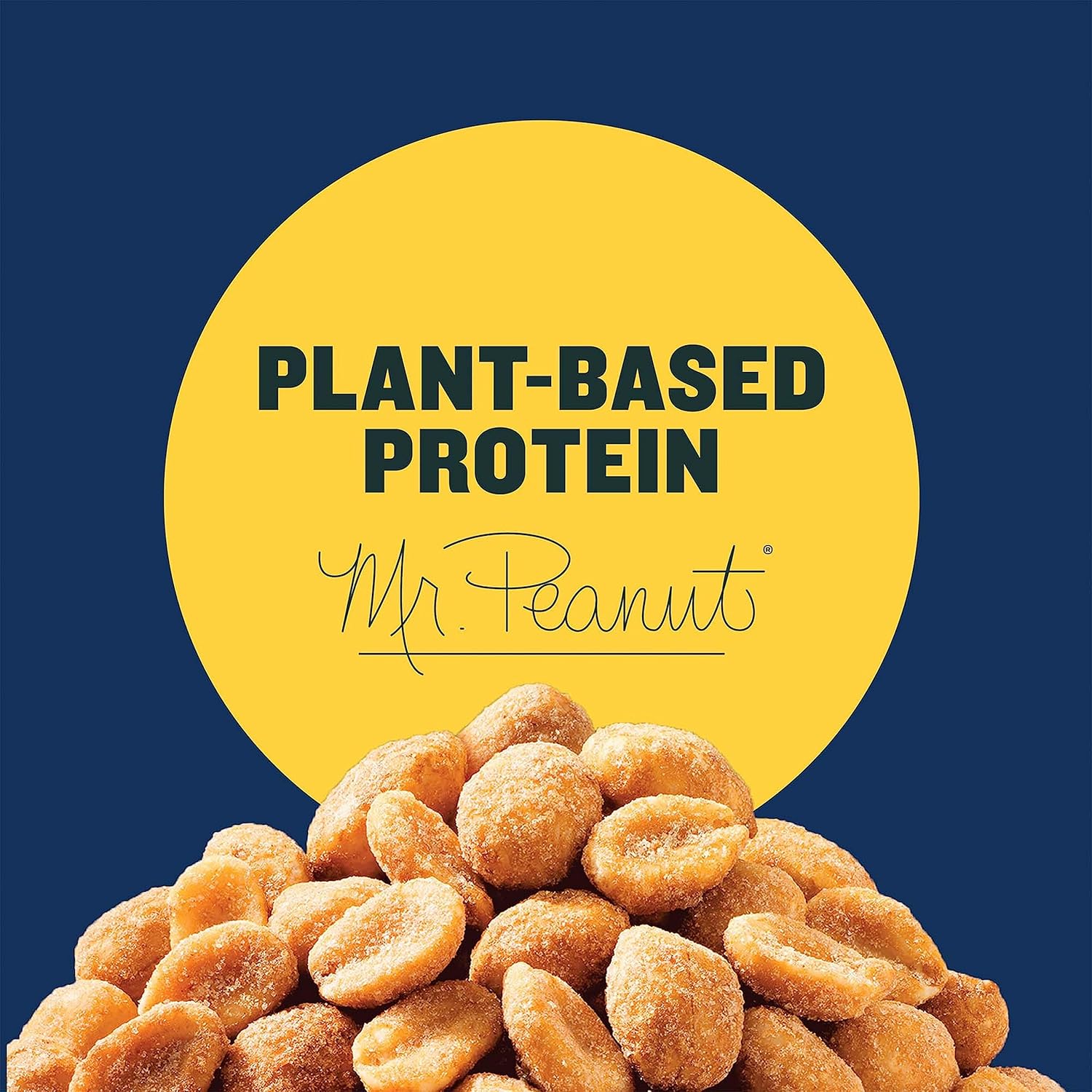 PLANTERS Honey Roasted Peanuts, Party Snack, Plant-Based Protein, After School Snack, Sweet and Salty, Salted Nuts, Flavored with Sea Salt and Honey, Quick Snacks for Adults, Kosher, 16oz Jar-2