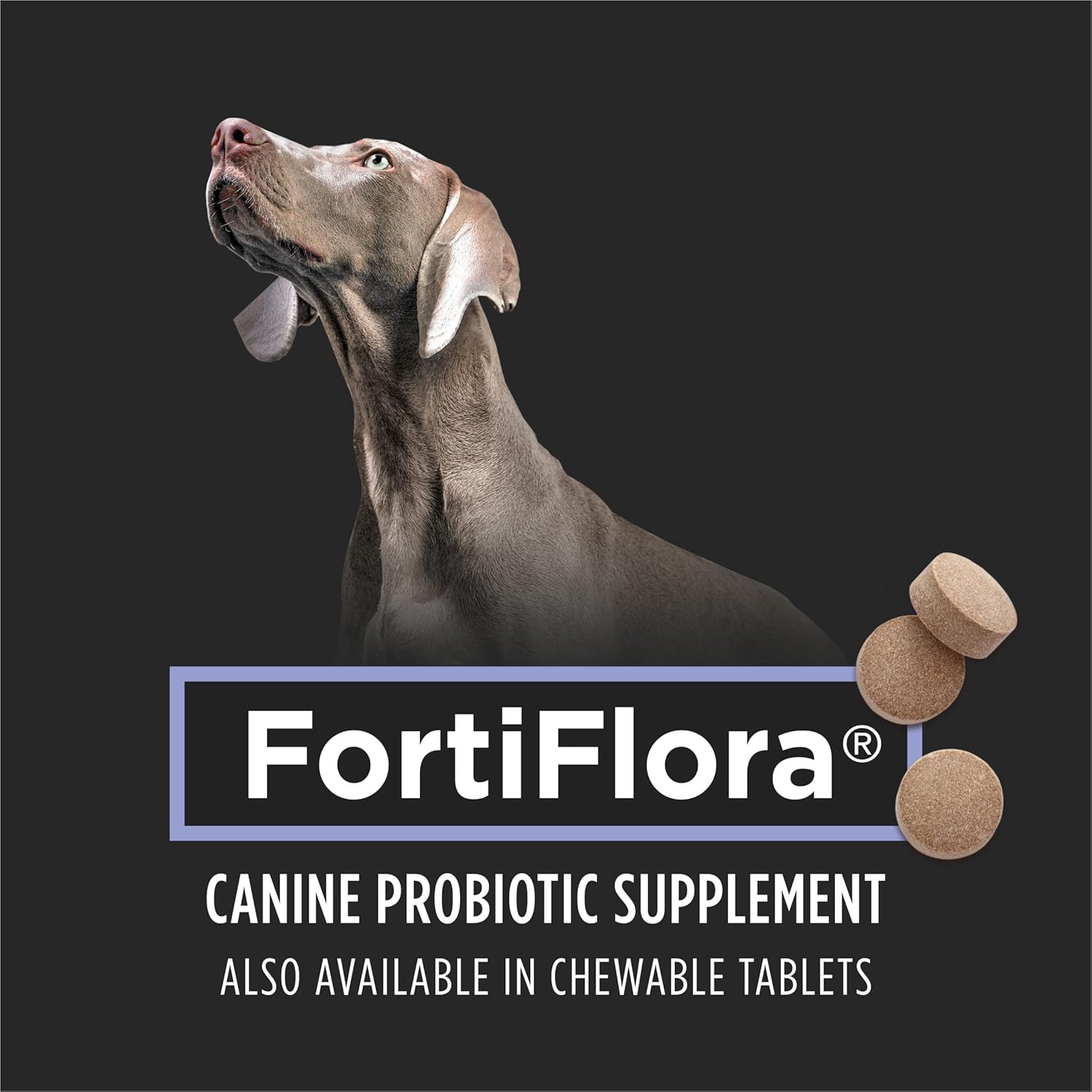 Purina Pro Plan Veterinary Supplements FortiFlora Dog Probiotic Supplement, Canine Nutritional Supplement - 30 Ct. Box-2