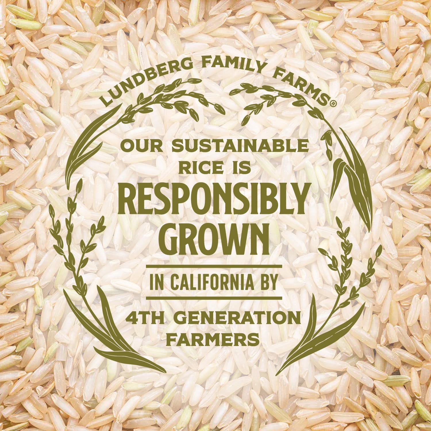 Lundberg Basmati Rice, Long Grain Brown Rice - Non-Sticky, Fluffy Aromatic Rice, Healthy Food, Bulk Rice Grown in California, Pantry Staples, 25 Lbs-5