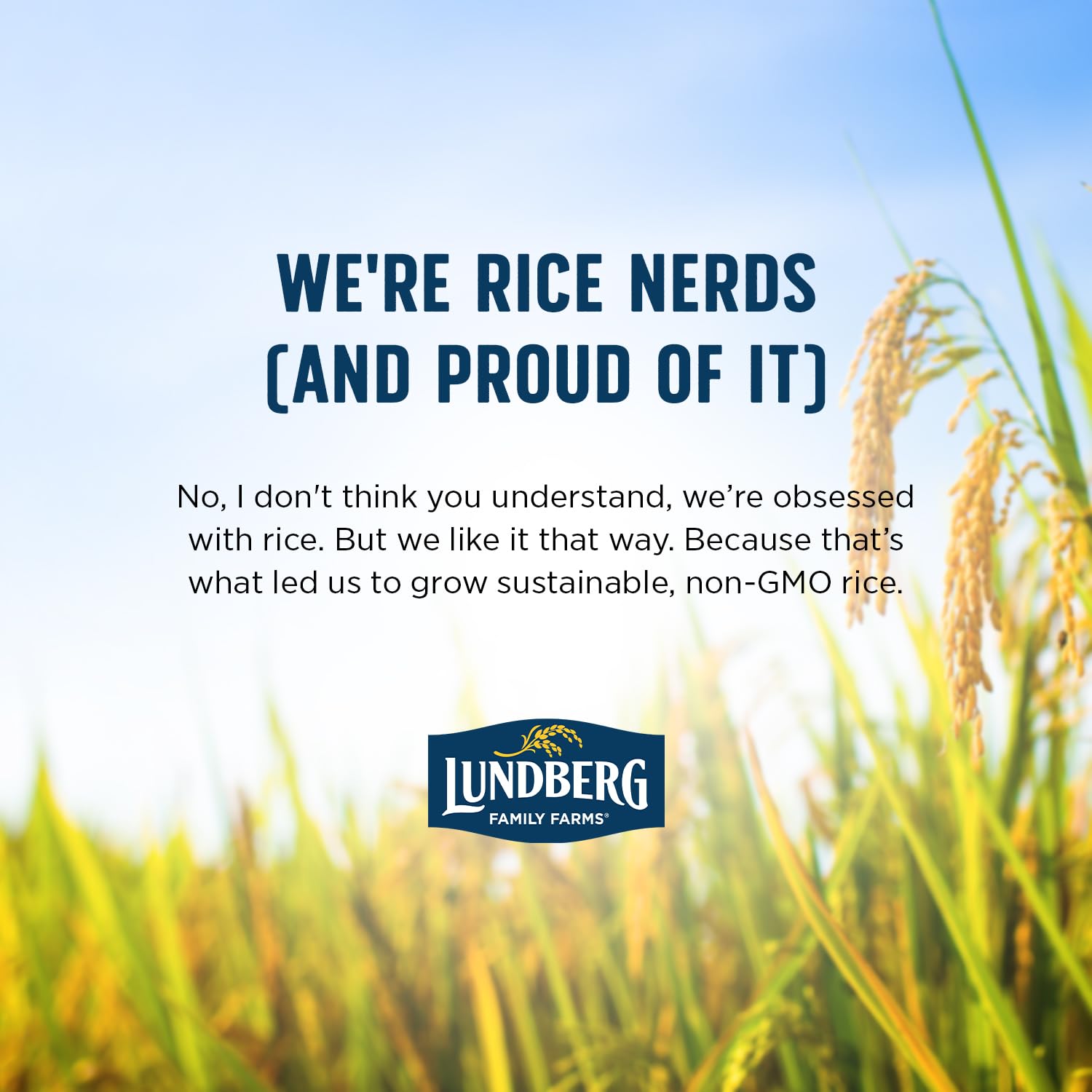 Lundberg Basmati Rice, Long Grain Brown Rice - Non-Sticky, Fluffy Aromatic Rice, Healthy Food, Bulk Rice Grown in California, Pantry Staples, 25 Lbs-6