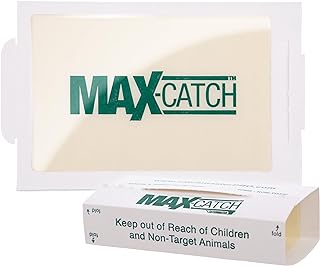 Catchmaster Max-Catch Mouse & Insect Glue Trap 72pk, Mouse Traps Indoor for Home, Sticky Pest Control Adhesive Tray for Catching Bugs, Rats & Rodents, Non Toxic Bulk Pre-Baited Glue Boards