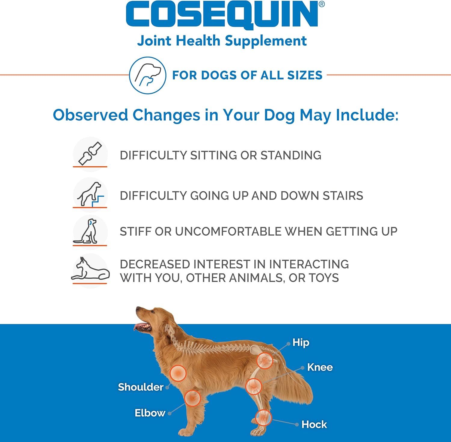 Nutramax Laboratories Cosequin Maximum Strength Joint Health Supplement for Dogs - With Glucosamine, Chondroitin, and MSM, 132 Chewable Tablets-4