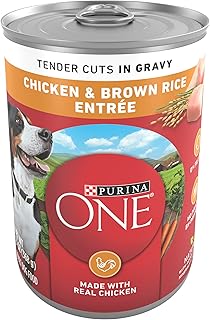 Purina ONE Tender Cuts in Wet Dog Food Gravy Chicken and Brown Rice Entree - (Pack of 12) 13 oz. Cans