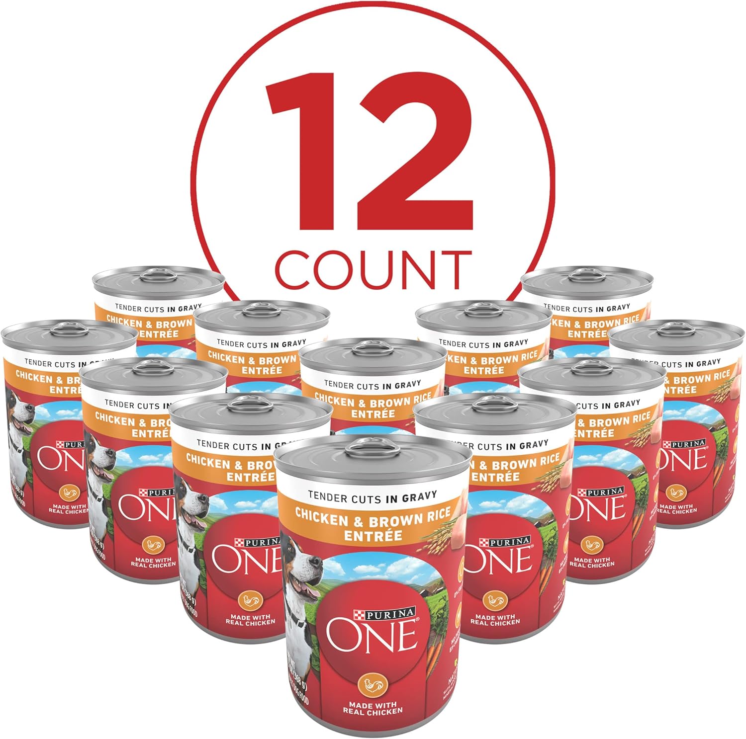 Purina ONE Tender Cuts in Wet Dog Food Gravy Chicken and Brown Rice Entree - (Pack of 12) 13 oz. Cans-1