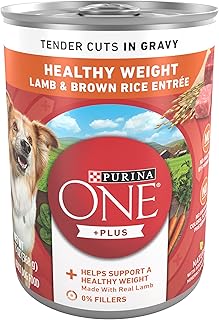 Purina ONE Plus Tender Cuts in Gravy Healthy Weight Lamb and Brown Rice Entree in Wet Dog Food Gravy - (Pack of 12) 13 oz. Cans