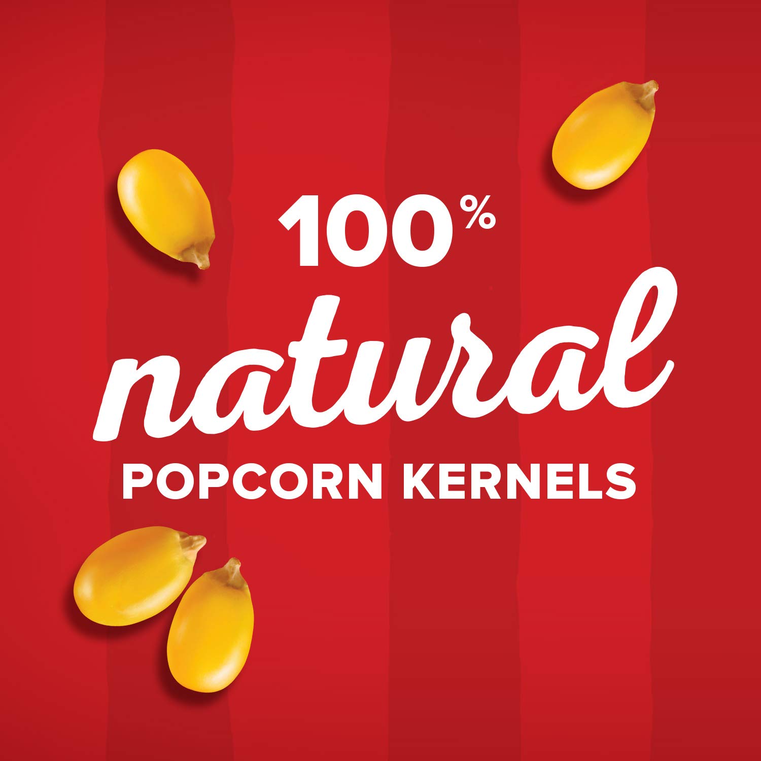 Orville Redenbacher's Original Gourmet Popping Corn Kernels, 8 lb.-1