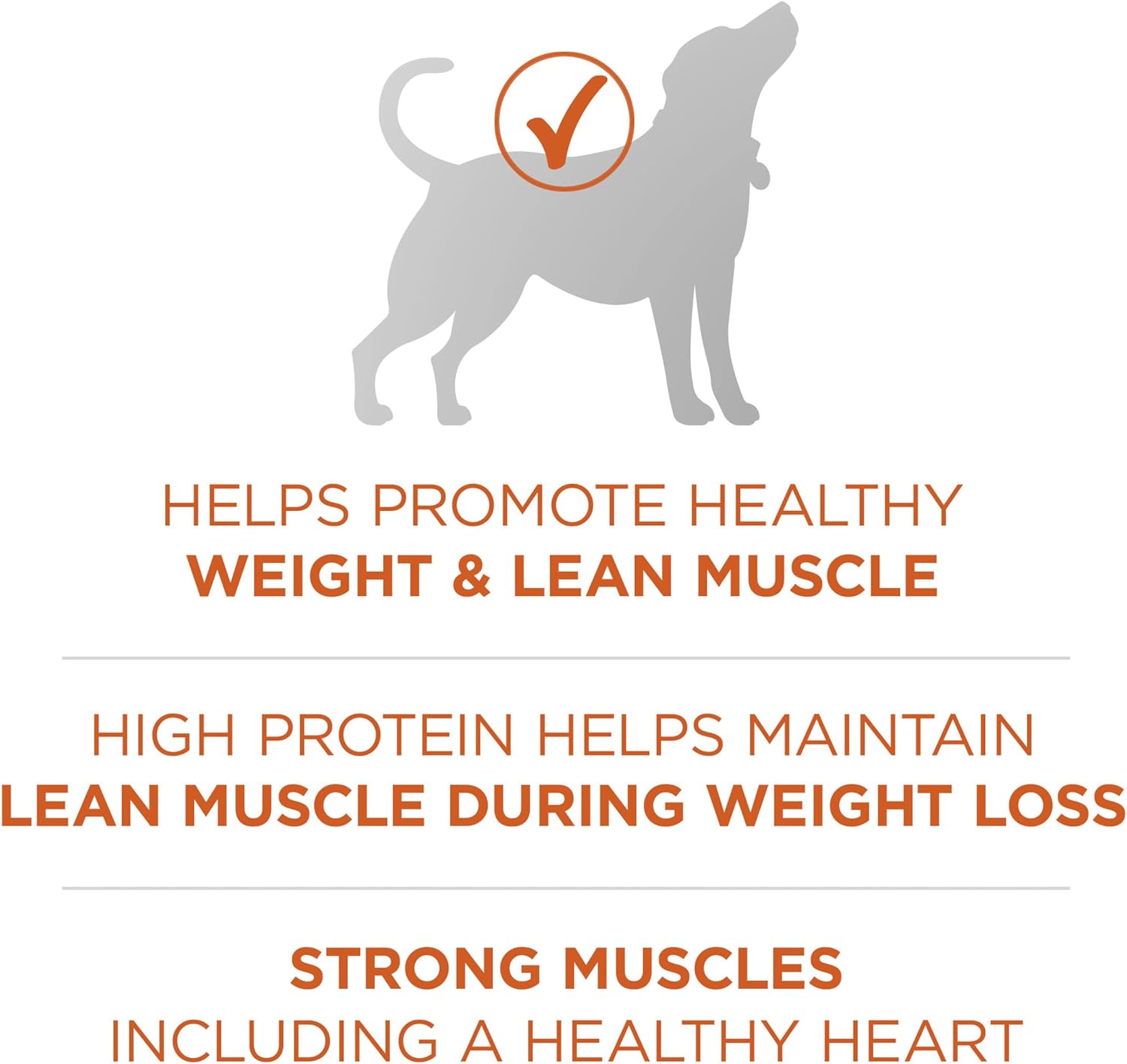 Purina ONE Plus Healthy Weight High-Protein Dog Food Dry Formula - 31.1 lb. Bag-3