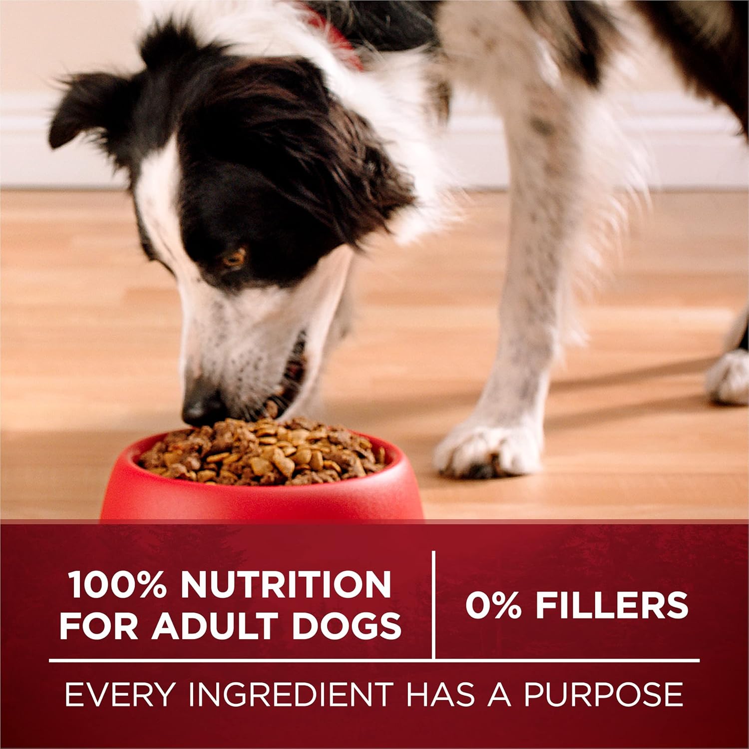 Purina ONE True Instinct With A Blend Of Real Turkey and Venison Dry Dog Food - 15 lb. Bag-7