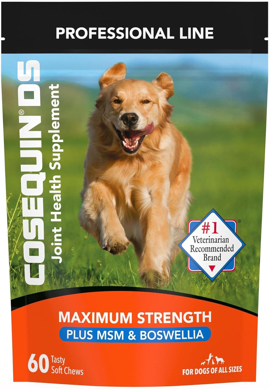 Nutramax Laboratories Cosequin DS Plus MSM Professional Line for Dogs, 60 soft chews-0