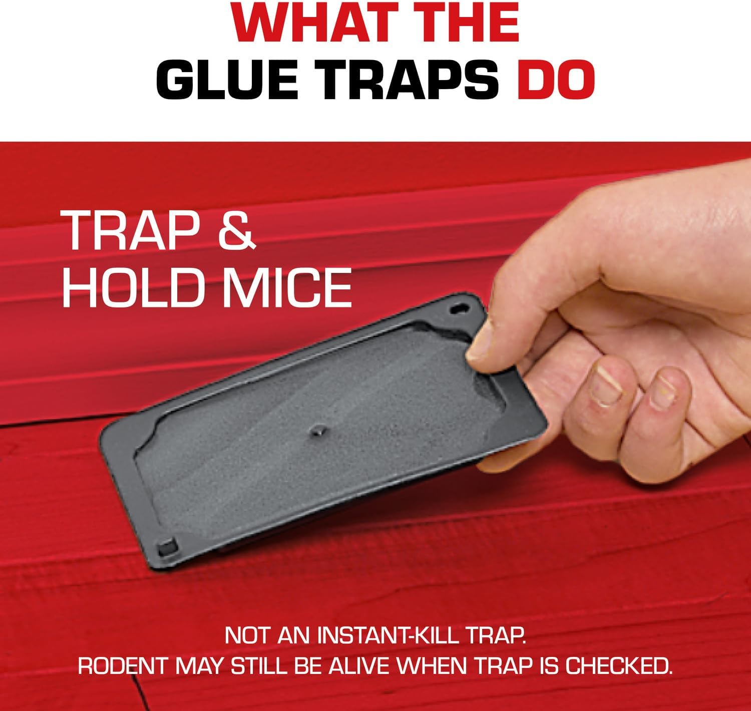 Tomcat Glue Traps Mouse Size with Eugenol for Enhanced Stickiness for Mice, Cockroaches, and Spiders, 6 Traps-5