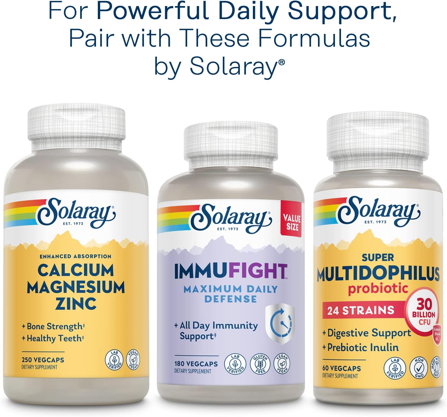 Solaray Once Daily Adult 50+ Multivitamin Healthy Energy, Heart & Immune Support for Mature Adults 90 CT-6