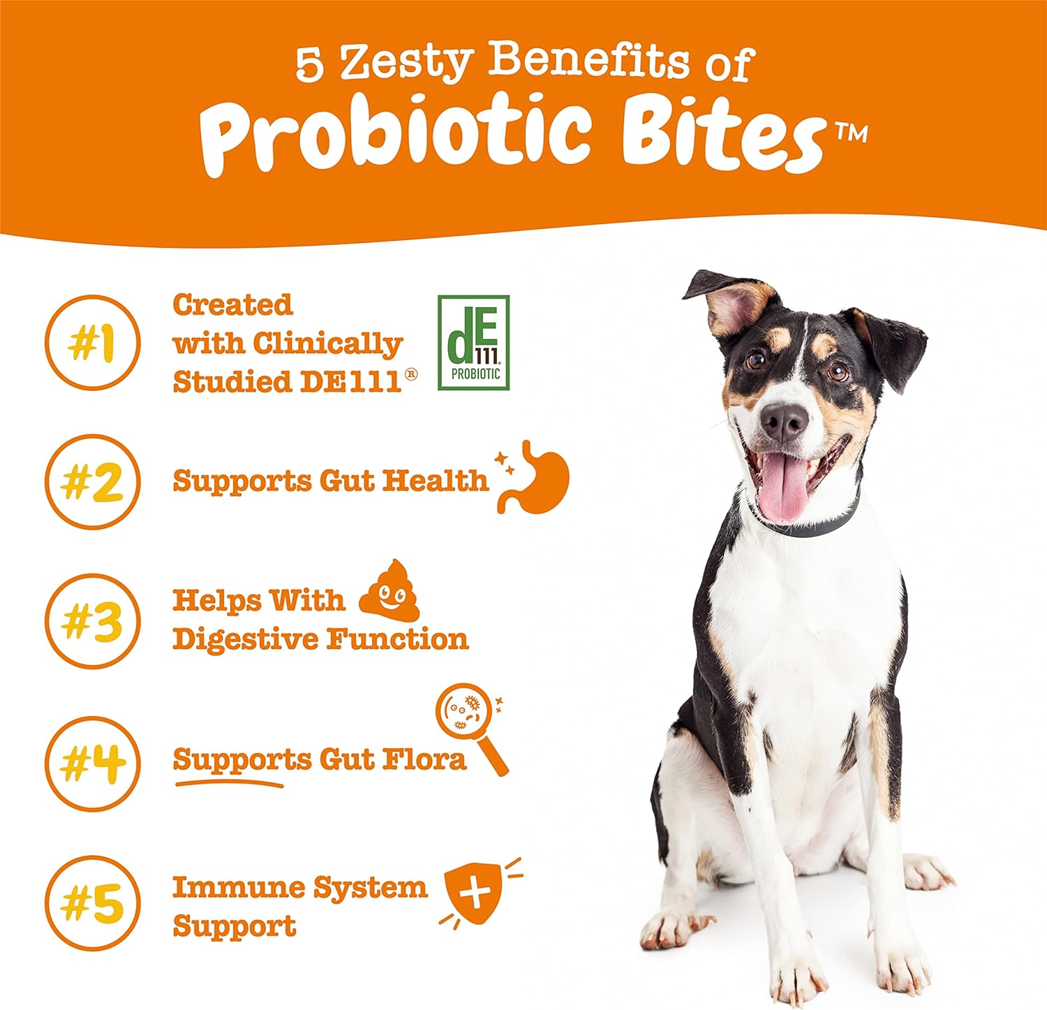 Zesty Paws Probiotics for Dogs - Digestive Enzymes for Gut Flora, Digestive Health, Diarrhea & Bowel Support - Clinically Studied DE111 - Dog Supplement Soft Chew for Pet Immune System - Pumpkin-1