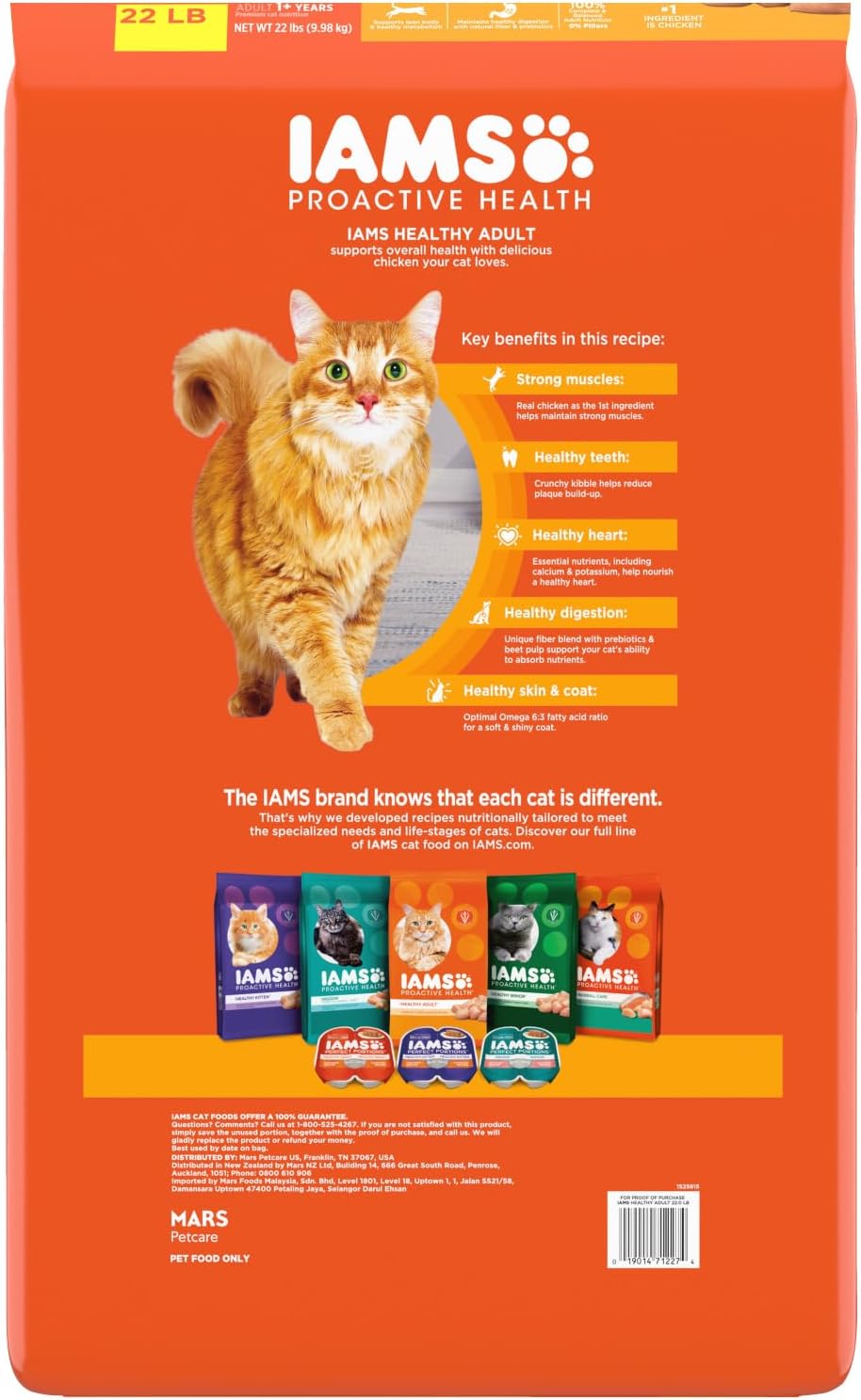 IAMS Proactive Health Healthy Adult Dry Cat Food with Chicken, 22 lb. Bag-1