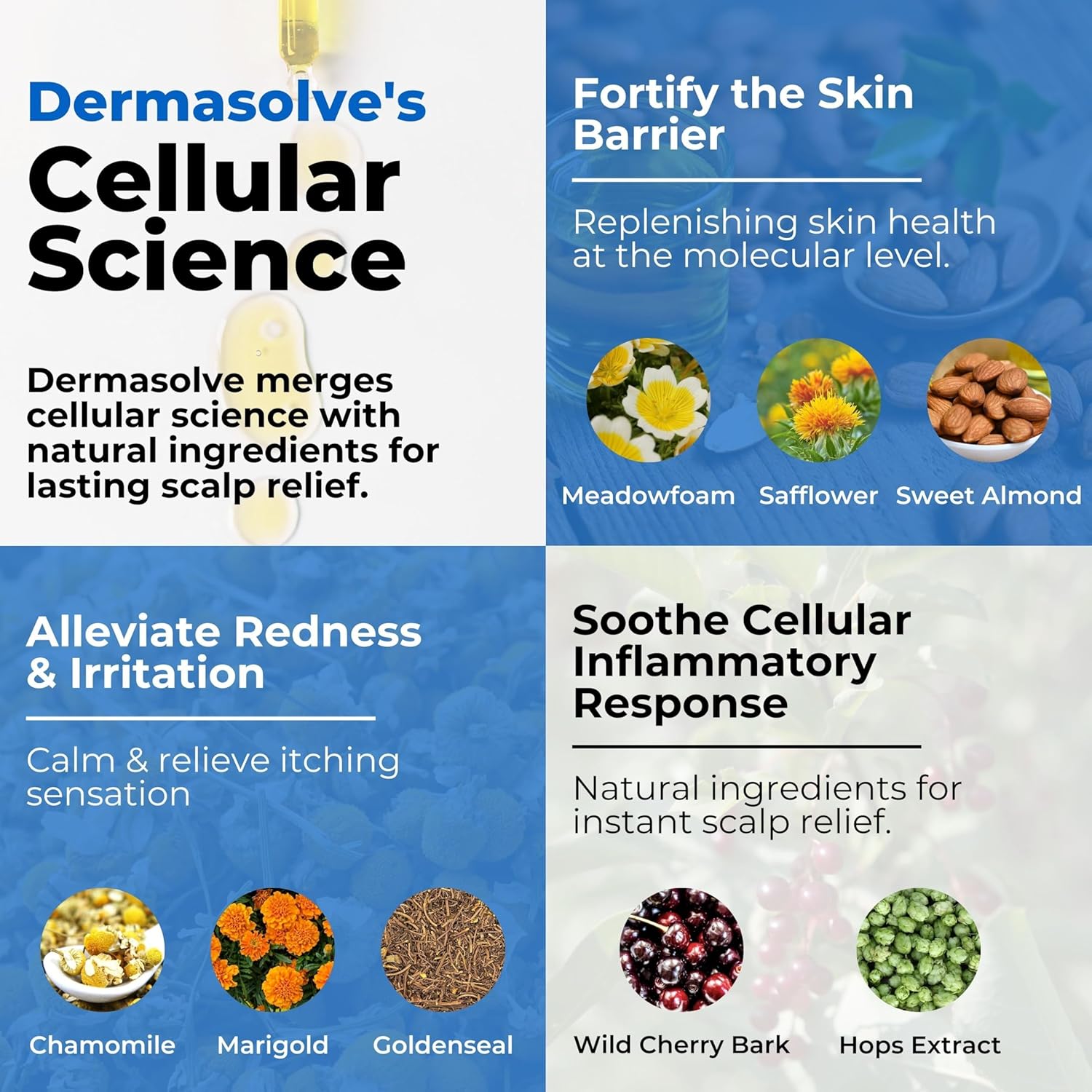 Dermasolve Psoriasis & Dandruff Scalp Oil, Dermatologist Approved for Flaky Scalp Relief-3